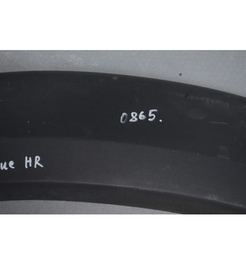 1307239070 Fiat Ducato Zierleiste Radlauf hinten rechts   -0865-