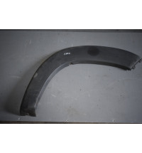 1307241070 Fiat Ducato Zierleiste Radlauf hinten links   -0866-