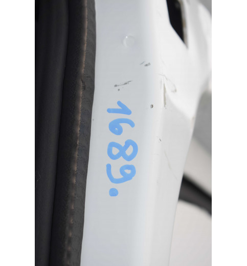 Renault Master 2 Opel Mowano Hecktür hinten Links -1689-