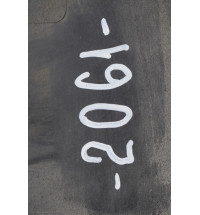 1308058070 Fiat Ducato Türleiste Zierleiste Leiste hinten links  -3570-