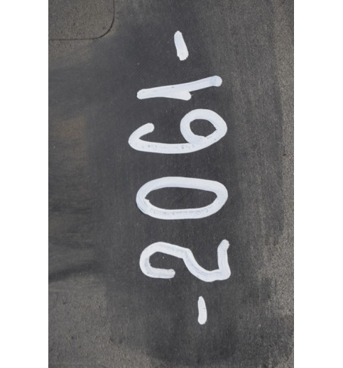 1308058070 Fiat Ducato Türleiste Zierleiste Leiste hinten links  -3570-