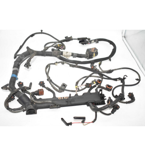 Fiat Ducato,Boxer,Jamper Kabelbaum Motorkabel EURO-4  504383024 -4919-
