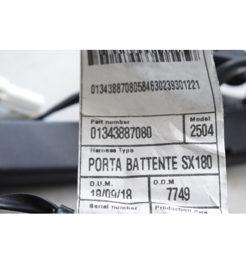 01343887080 Fiat Ducato Türkabelbaum hinten 