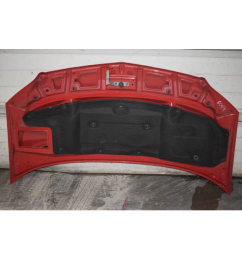 Mercedes-Benz Mercedes Sprinter W906 Motorhaube Rot -6094- Motorhauben
