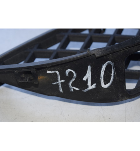 A9068850053 Mercedes W906 Gitter Stoßfänger vorne -7210-
