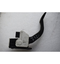 13841620800 Fiat Ducato  Gaspedal   -7320-  