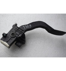 13841620800 Fiat Ducato  Gaspedal   -7365-  