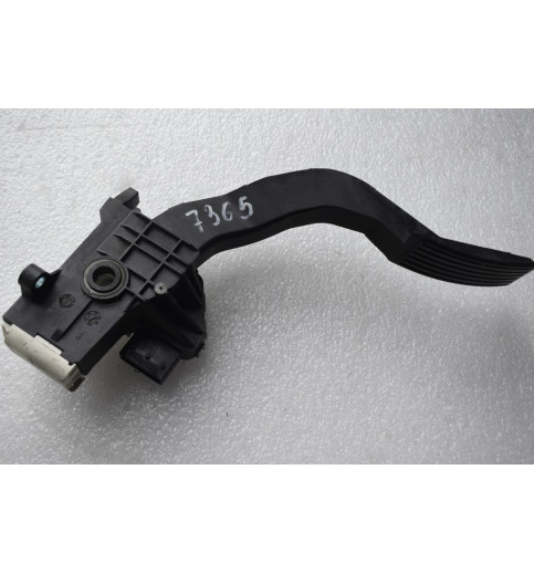 13841620800 Fiat Ducato  Gaspedal   -7365-  
