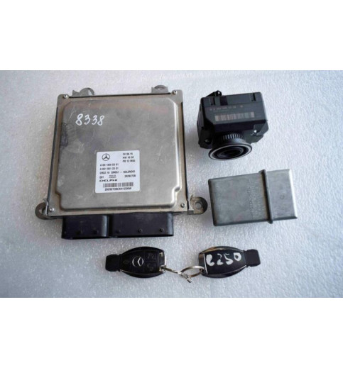 Mercedes-Benz Mercedes W204 SET ECU A6519005301 A6519013301 A2075450108  -8338- ECUs & Steuergeräte
