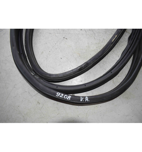 BK31-V20708-AF Ford Transit Türdichtung Gummi 2017bj V,R -9208-