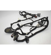 Ford Transit Custom Kabelbaum Tür vorne GK3T-14A631-DED  -10150-
