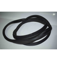 A1646900076 Mercedes ML W164 Türdichtung vorne rechts links  -10305-