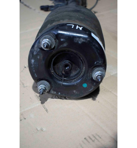 Mercedes-Benz Mercedes ML W164 Stoßdämpfer  Pneumatischer 1St  B4LF1Z005A01 A1643205813 -10346 Stoßdämpfer- & Federbeinhalterungen
