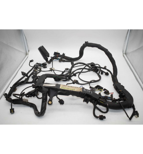 Mercedes-Benz Mercedes Motorkabelbaum  A6510101000 A6511501388 -10585- Kabel, Kabelbäume & Steckverbinder