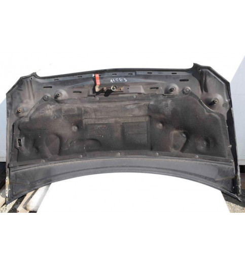 Mercedes-Benz Mercedes Vito W639 Motorhaube Schwarz -11062- Motorhauben