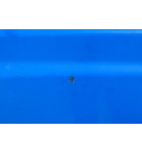 Mercedes-Benz Mercedes Vito W639 Tür Vorne Links Blau ohne Glas -11342- Türen & Türenbleche