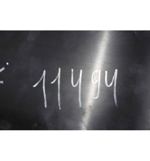 769510005R  Opel Movano Renault Master Trittbrett Schweller rechts   -11494-