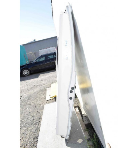 Mercedes-Benz Mercedes Vito W639 Tür Hinten Rechts für Kühlwagen Weiß  -12444- Türen & Türenbleche
