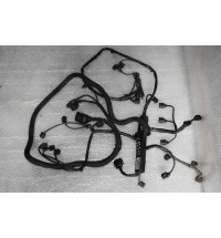  HVW9065401109  HVW9065460161 VW CRAFTER Motorkabelbaum   -12541-