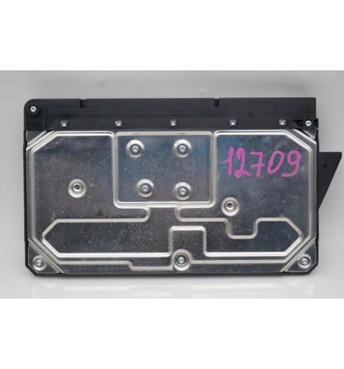 Mercedes-Benz Sprinter W906 VW Crafter SAM Modul  A9069006601 9069013000 9069022001 -12709- ECUs & Steuergeräte