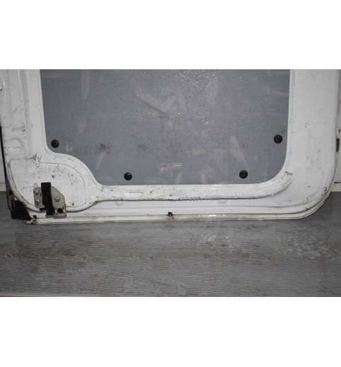 Mercedes Sprinter W906 VW Crafter Tür Hecktür hinten Links -12810-