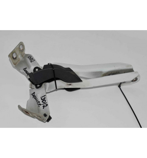 Renault Master 3, Opel Movano Motorhaubescharniere 654000006R 654010006R  -13012
