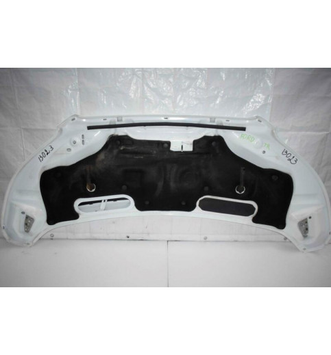 Ford Ford Transit Motorhaube Deckel  -13023- Motorhauben
