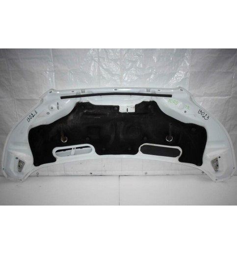 Ford Ford Transit Motorhaube Deckel  -13023- Motorhauben
