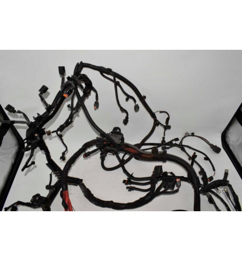 Renault Renault Master 3 Opel Movano Motorkabelbaum 2.3TDCI   240113666R -13252- Kabel, Kabelbäume & Steckverbinder