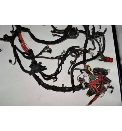 Renault Renault Master 3 Opel Movano Motorkabelbaum 2.3TDCI   240113666R -13252- Kabel, Kabelbäume & Steckverbinder