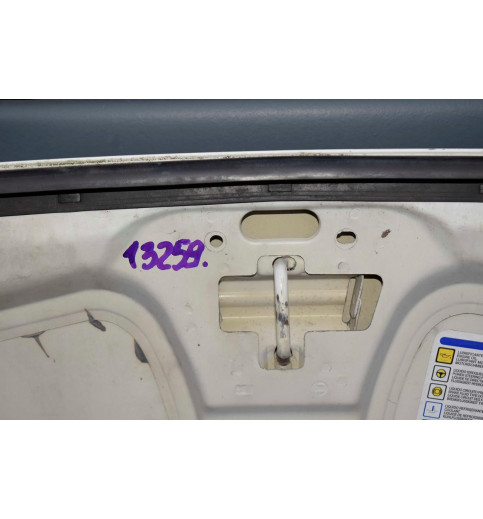 Fiat Fiat Ducato,Boxer,Jamper Motorhaube -13259- Motorhauben