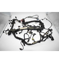 Mercedes W207 E-Klasse Motorkabelbaum  A6511505233  A6510100304  -13269-