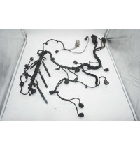 VW CRAFTER Motorkabelbaum  2.0L  2E0971078D  -13537-