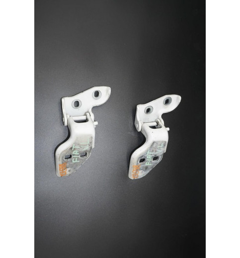 Fiat Fiat Ducato,Boxer,Jamper Türscharniere Vorne Links Oben und Unten -13598- Gasfedern, Verschlüsse, Scharniere & weitere Teile
