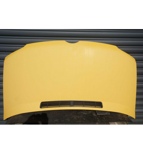 Mercedes-Benz Sprinter Sprinter W901,W902,W903,W904,W905 Motorhaube Gilben -13817- Motorhauben