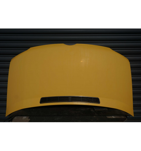 Mercedes-Benz Sprinter Sprinter W901,W902,W903,W904,W905 Motorhaube Gilben -13817- Motorhauben