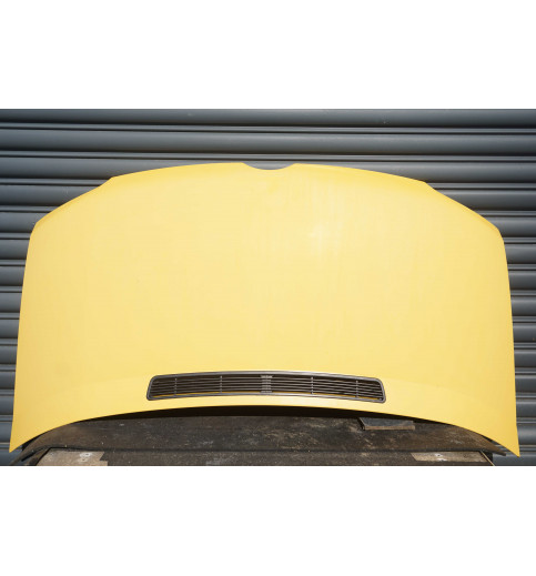 Mercedes-Benz Sprinter Sprinter W901,W902,W903,W904,W905 Motorhaube Gilben -13817- Motorhauben