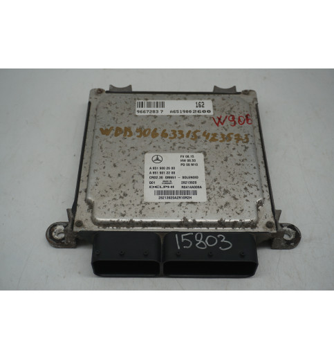 Mercedes Sprinter W906 Motorsteuergerät ECU OM651 A6519002600 A6519012200