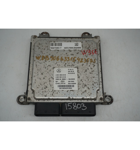 Mercedes Sprinter W906 Motorsteuergerät ECU OM651 A6519002600 A6519012200