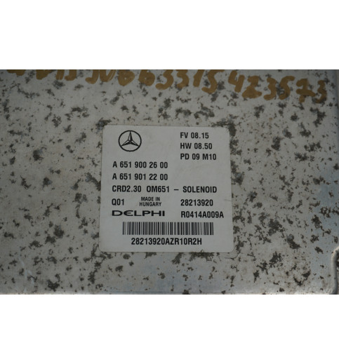 Mercedes Sprinter W906 Motorsteuergerät ECU OM651 A6519002600 A6519012200