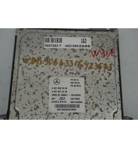 Mercedes Sprinter W906 Motorsteuergerät ECU OM651 A6519002600 A6519012200