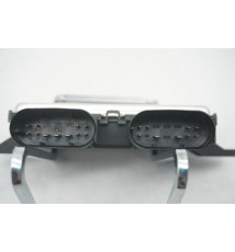 Mercedes W447 Kraftstoffpumpe Steuergerät  A4479008214 A0009015303  -14485-