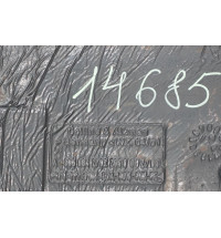 A9066842702 Sprinter W906 VW Crafter Teppichboden Innenraumboden vorne   -14685-