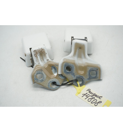 9820031980  9820017880 Peugeot Expert  Türscharnier hinten rechts ob+un -14808-
