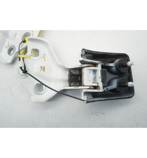 9820031980  9820017880 Peugeot Expert  Türscharnier hinten rechts ob+un -14808-