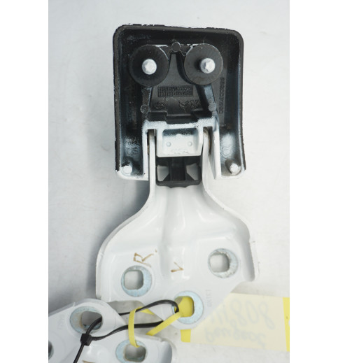 9820031980  9820017880 Peugeot Expert  Türscharnier hinten rechts ob+un -14808-