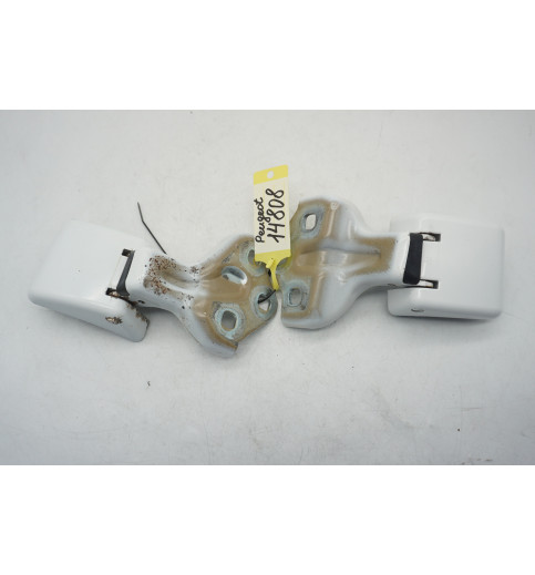 9820031980  9820017880 Peugeot Expert  Türscharnier hinten rechts ob+un -14808-