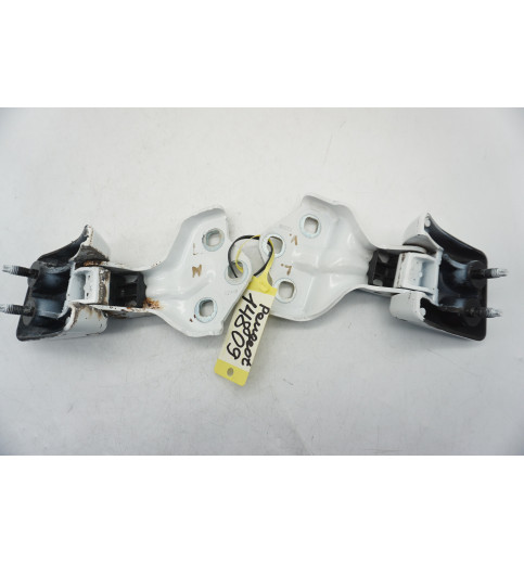 9820032180  9820029280 Peugeot Expert  Türscharnier hinten links ob+un -14809-