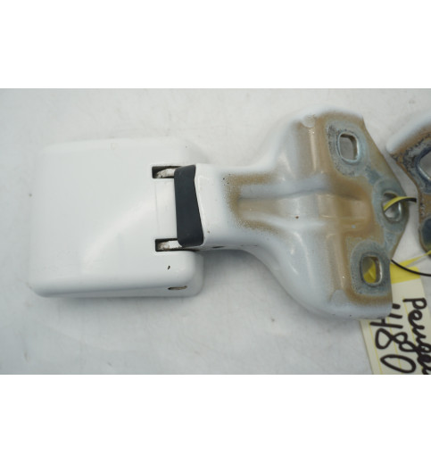 9820032180  9820029280 Peugeot Expert  Türscharnier hinten links ob+un -14809-