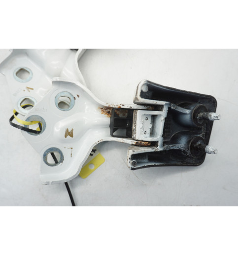 9820032180  9820029280 Peugeot Expert  Türscharnier hinten links ob+un -14809-